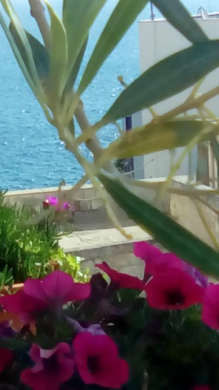 Tra Le Mura Polignano a Mare Dış mekan fotoğraf