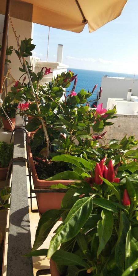 Tra Le Mura Polignano a Mare Dış mekan fotoğraf